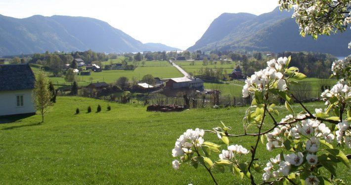 Hoiland Gard Gardshotellet Hjelmeland Buitenkant foto